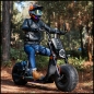 Preview: CRUISER 3000W EEC Freakyscooter Chopperstyle