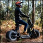 Preview: CRUISER 3000W EEC Freakyscooter Chopperstyle