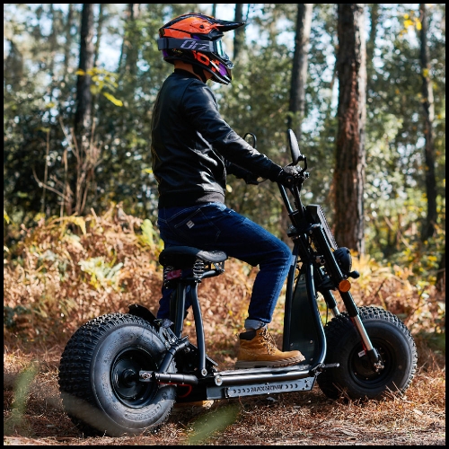 CRUISER 3000W EEC Freakyscooter Chopperstyle