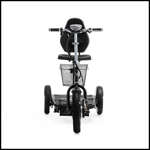 3-wheel e-scooter Zappy special model – bicycle approval, 25-30 km range, 750W motor